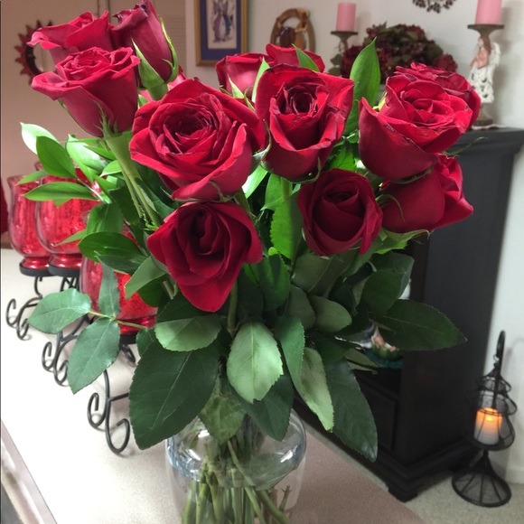 Meet your Posher, Pamela - Picture 1 of 1